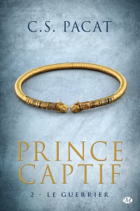 prince-captif,-tome-2---le-guerrier-572837